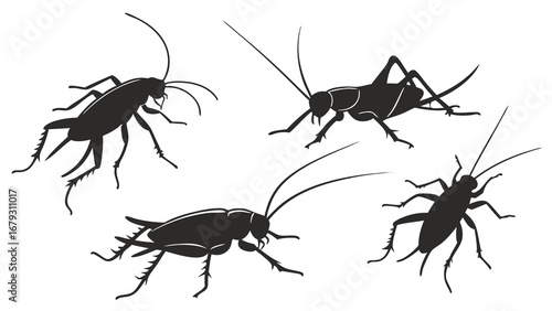 set of insects