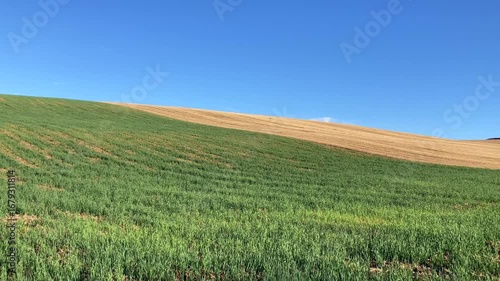 Fields of green, harvested grain in the Valderejo Natural Park, Basque Country, Spain