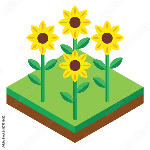 Four yellow sunflowers growing on green grass isometric plot vector illustration