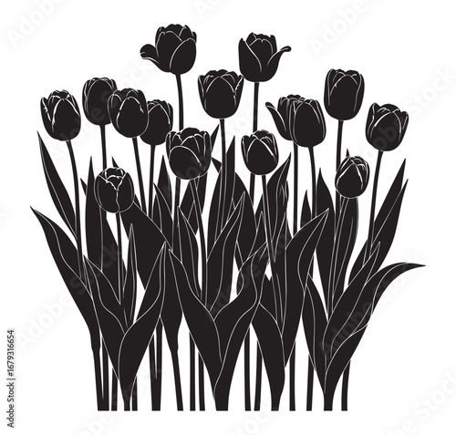 A striking black and white silhouette of a dense cluster of blooming tulips with long slender leaves creating a dramatic floral arrangement against a white background