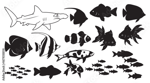 Collection of diverse hand drawn fish silhouettes and illustrations featuring sharks clownfish angelfish and schools of small fish in black and white