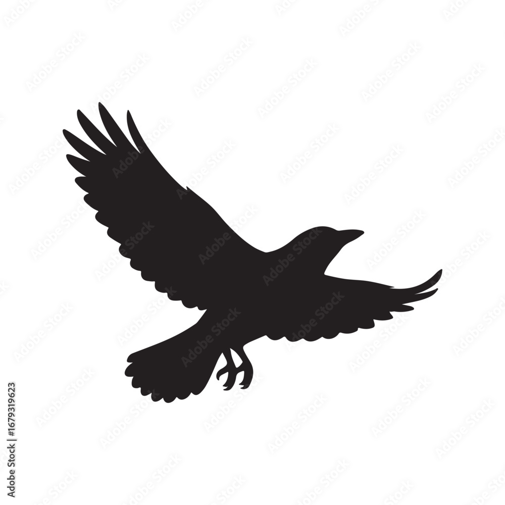 Obraz premium Silhouette of a Bird in Flight with Wings Spread Wide