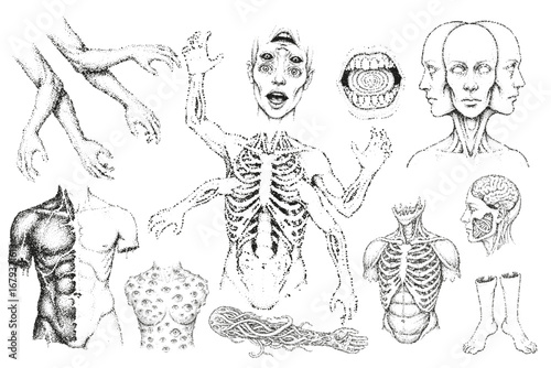 Body Horror and Surreal Anatomy Stipple Illustration Set.