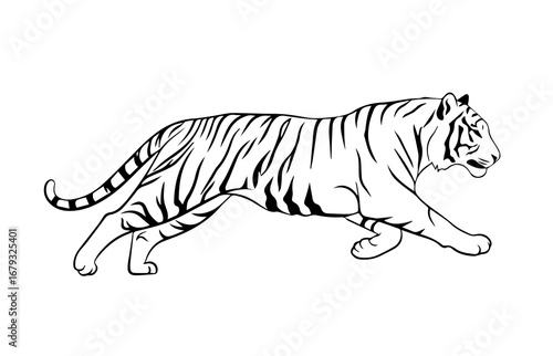 Powerful Tiger Silhouette – Wild Big Cat Predator Vector Illustration