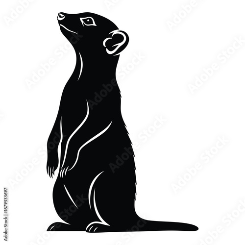 Vector art of meerkat standing and looking up
