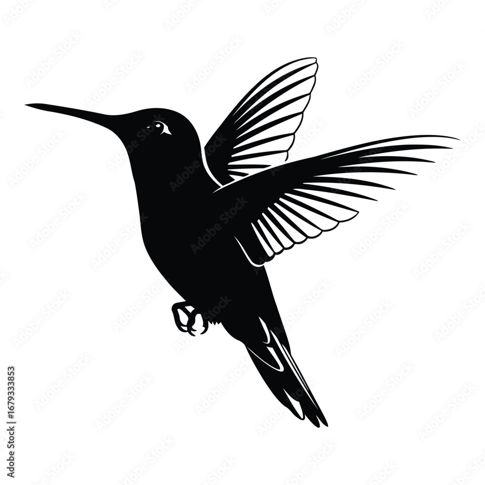 Obraz premium Vector art of hummingbird flying