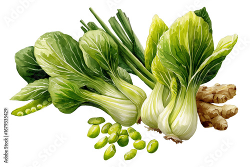 watercolor fresh vegetables on white background