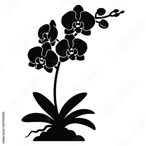 Elegant black orchid silhouette graphic illustration a symbol of beauty sophistication and timeless style botanical simplicity vector design element for various applications