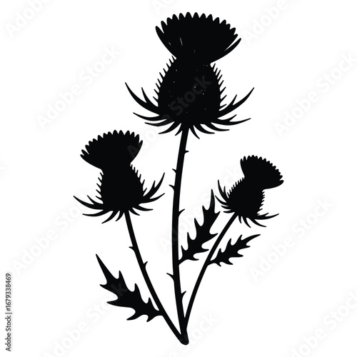 Striking Black Thistle Silhouette on White Background Scottish Symbol Floral Illustration Minimalist Botanical Design Elegant Wildflower Artwork