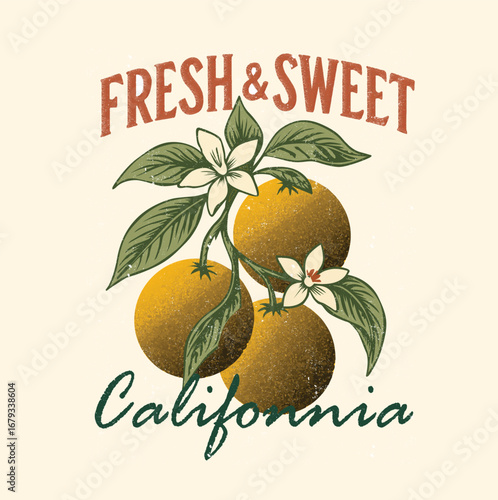 Orange. Orange Fruit Print. summer fruit Design. vintage t shirt design. fruit artwork. retro color. grunge effects. food fashion. girls Boyes tee. tropical food. healthy vitamin c. graphic tee
