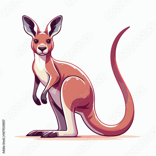 illustration vector of kangaroo