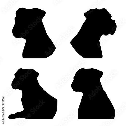 Intriguing silhouette portrayals of a boxer dog, revealing dynamic poses of a strong, loyal companion. vector illustration