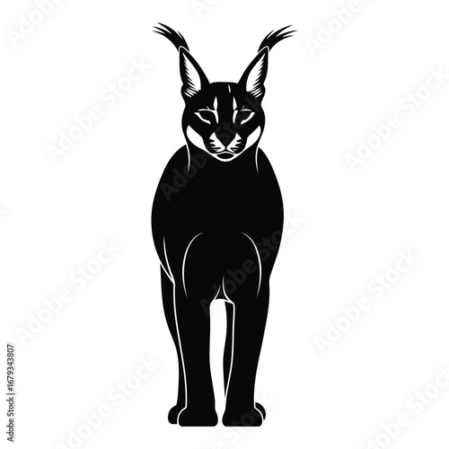 Vector art of caracal standing forward