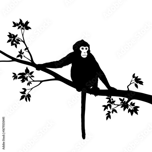 Monkey sitting on a tree branch silhouette isolated on white background