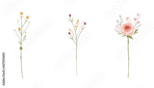 Watercolour flowers. Flower drawing. Wedding watercolor floral decorations. Invitation card, rose, lavender, leaves, botanical drawing