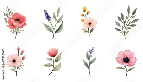 Watercolour flowers. Flower drawing. Wedding watercolor floral decorations. Invitation card, rose, lavender, leaves, botanical drawing