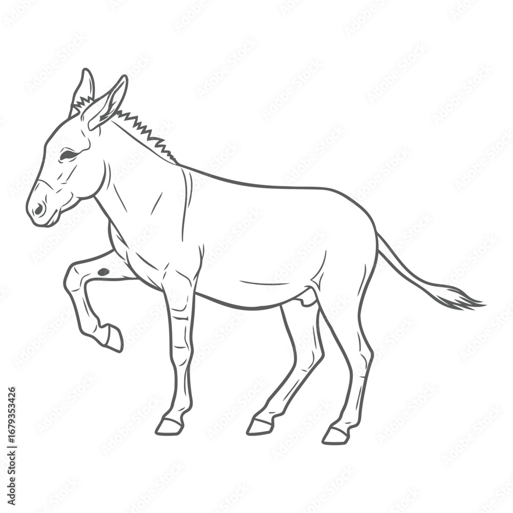 Obraz premium Vector art of donkey standing on a