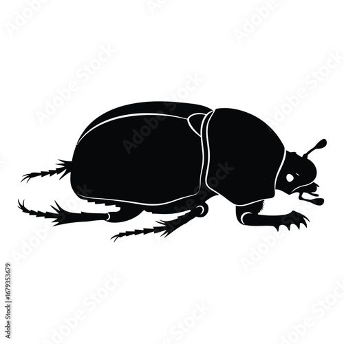 Vector art of dung beetle