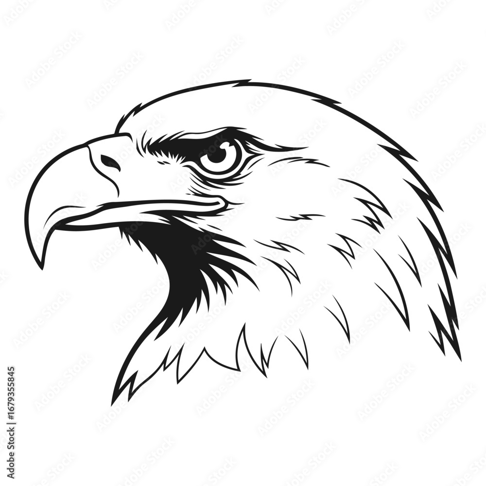 Fototapeta premium Vector art of eagle head