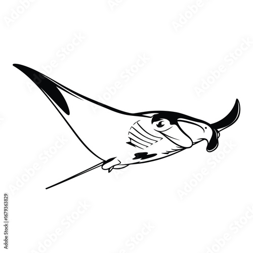 Vector art of manta ray swimming