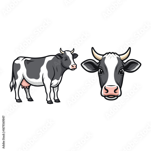 Cow Illustration Fullbody and Headshot