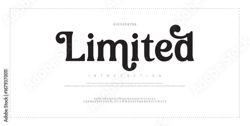 Limited Luxury wedding alphabet font. Typography decorative elegant classic lettering serif fonts vintage retro for logo. vector illustration
