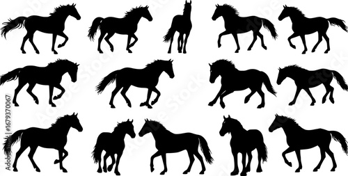 Horse silhouette vector. Horse silhouettes.
