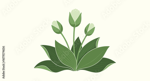 Green floral arrangement of unopened blossoms and lush leaves symbolizing growth and nature