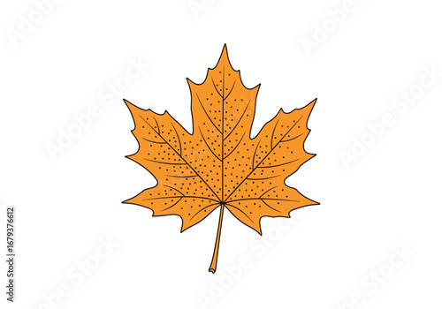 Vibrant orange maple leaf illustration with delicate veins and speckles