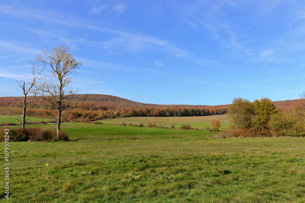 Obraz premium On a winding road.