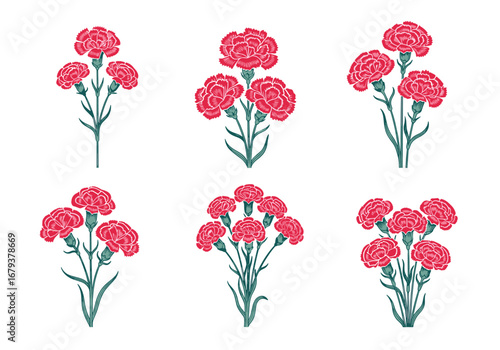 Beautiful delicate pink carnation flower arrangements vector design elements