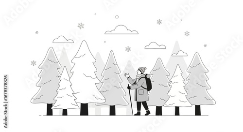 The Adventurer Surveys The Winter Wilderness Amongst Snow Covered Evergreen Trees