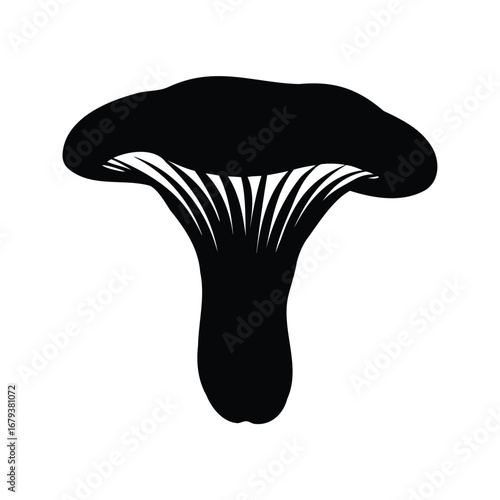 Monochrome Chanterelle Mushroom Silhouette with Distinctive Gills for Scientific or Culinary Use, chanterelle mushroom silhouette vector illustration