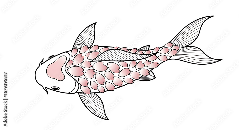 Fototapeta premium Handdrawn Simple Koi Fish with Cherry Blossom Scales Illustration