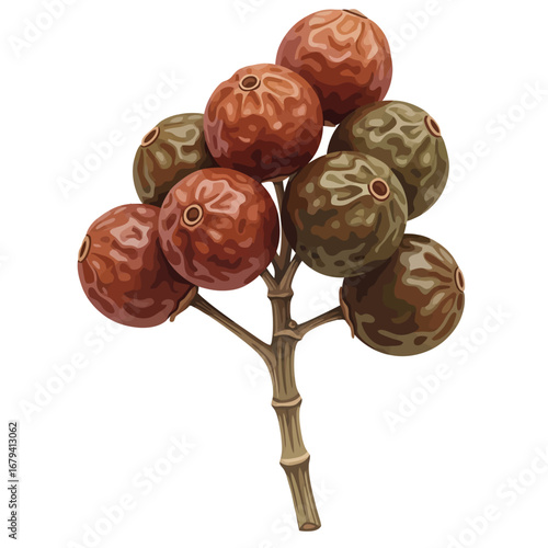 Andaliman Pepper Icon: A cluster of Andaliman peppercorns, a unique spice from Indonesia with a distinctive citrusy and tingling flavor
