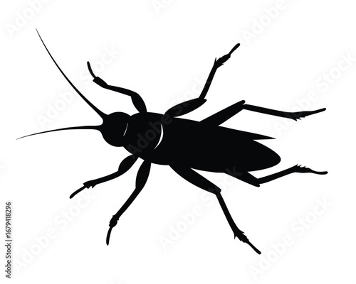 Dynamic cricket player silhouette in action