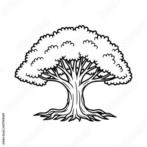Stylized black and white illustration of a mature tree with a wide canopy and exposed roots nature plant
