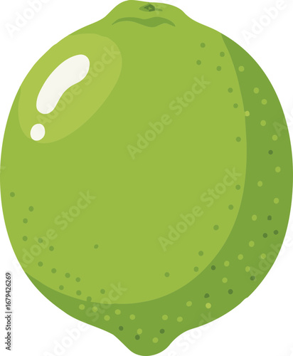 Fresh Green Lime Icon, Isolated Citrus Illustration