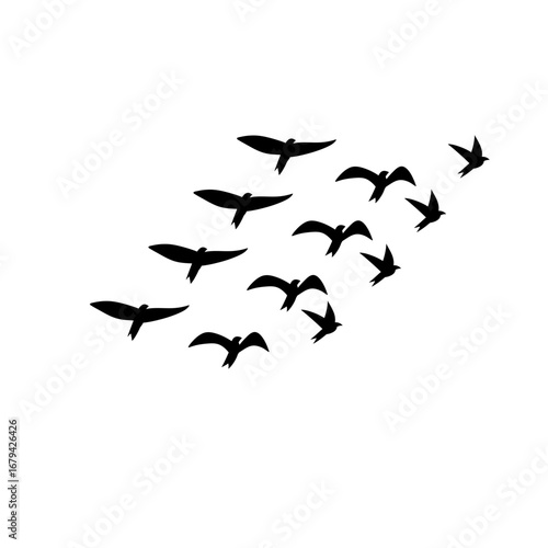 "Vector flock of flying birds silhouettes, geese triangle autumn formation, monochrome postcard greeting card, sky illustration isolated background.