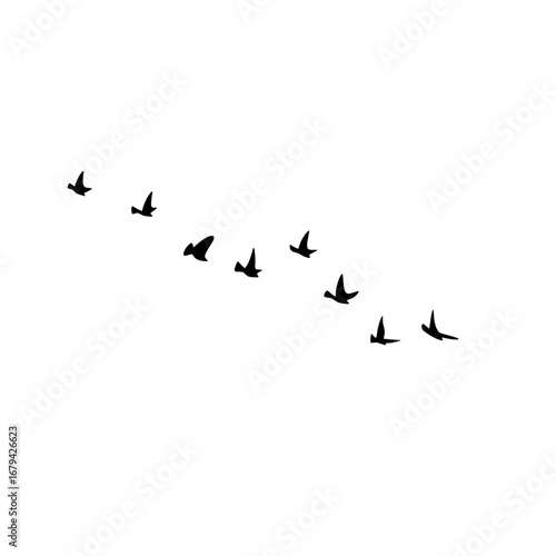Birds flock flying illustration vector, geese silhouettes autumn triangle, monochrome greeting design, postcard invitation card isolated white background.