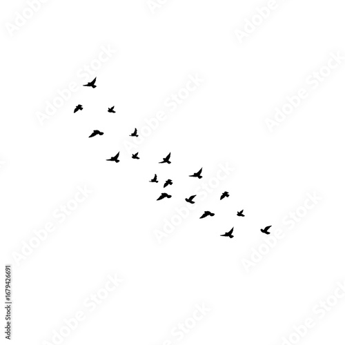 "Flying flock of birds silhouettes vector, geese in autumn triangle formation, postcard greeting card, monochrome illustration white background."