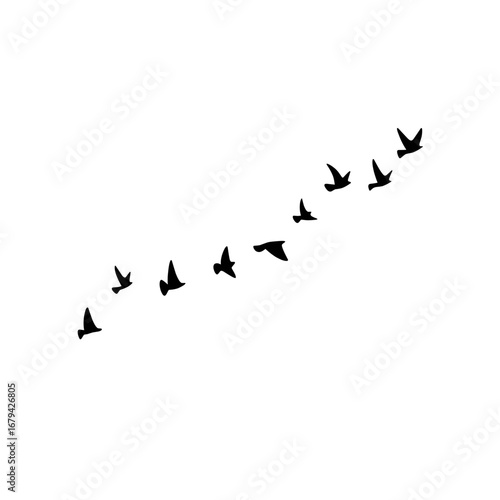 "Flock of birds flying vector silhouettes, autumn geese triangle formation, postcard greeting card design illustration monochrome white background."