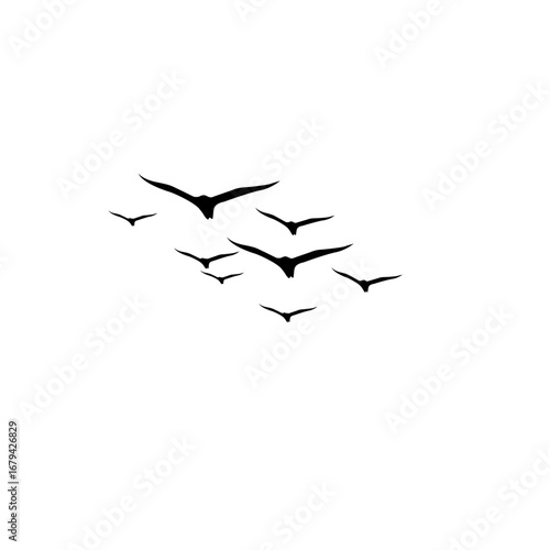 "Flying birds flock vector illustration, geese silhouettes in autumn triangle, monochrome postcard greeting design, invitation on white background."