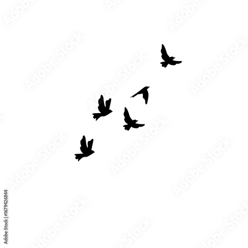 "Silhouettes of flying birds flock, geese in triangle formation, vector illustration postcard greeting card, monochrome white background design."