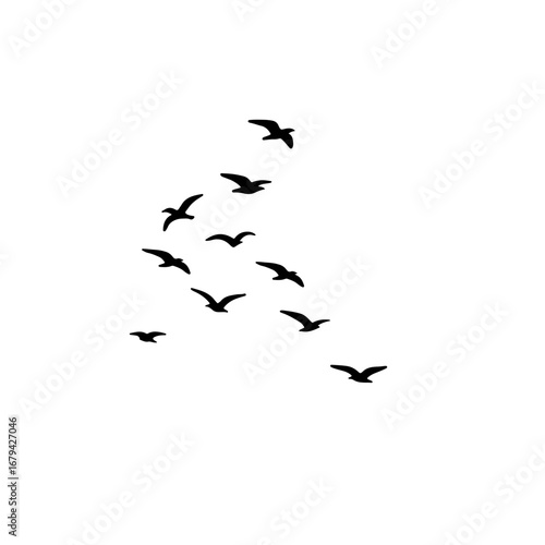 "Flying geese flock vector silhouettes, birds triangle formation, monochrome illustration postcard design isolated on sky white background."