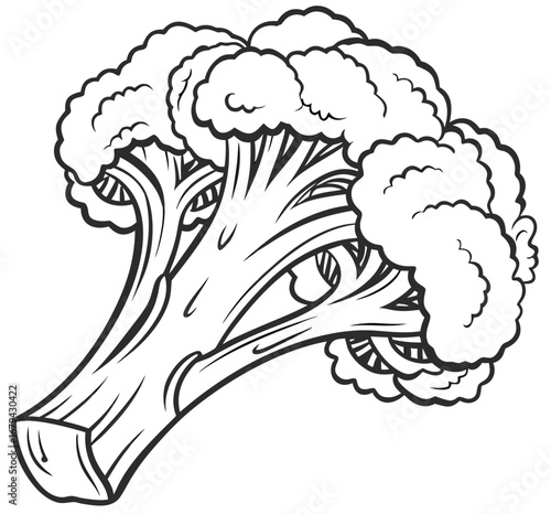 Minimalist outline vector of a single broccoli floret