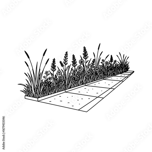 Vegetable garden with transparent background