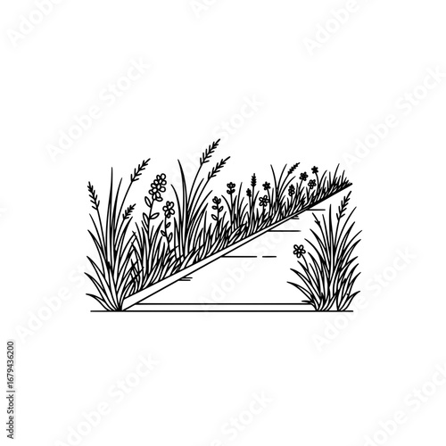 Herb with transparent background