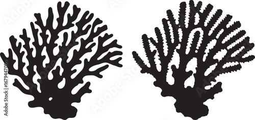 Two black coral silhouettes isolated on white background with intricate branching patterns