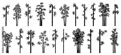Bamboo silhouette collection.Set of bamboo plants in different stalk heights and leaf patterns in black vector style